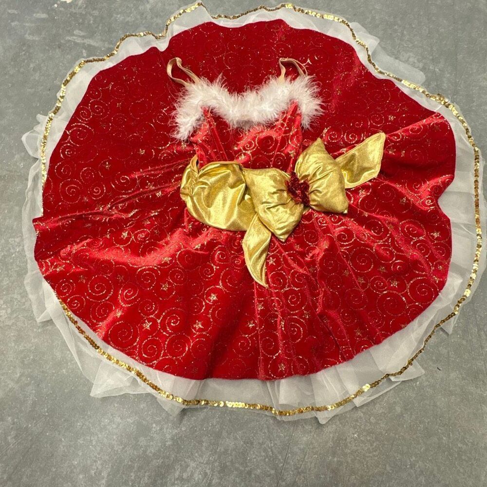 A Wish Come True V1995N Christmas Holiday Ballet Dance Costume Red Gold Velvet
